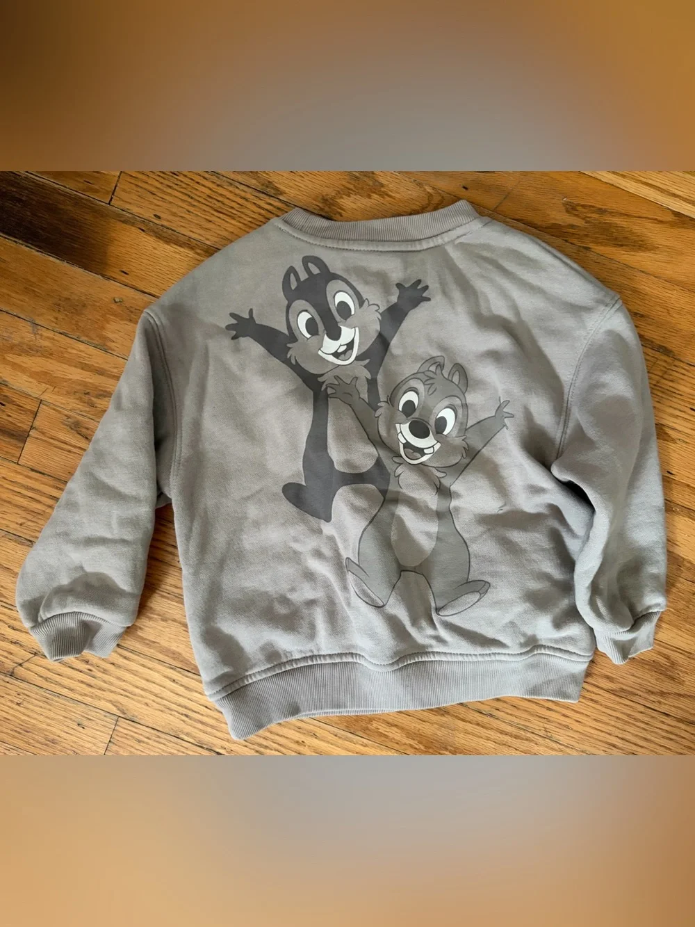 EUC Baby Gap Disney Chip and Dale Sweatshirt 2t